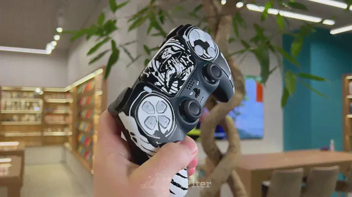 Геймпад Беспроводной Rainbo DualSense Чумной доктор, для PlayStation 5
